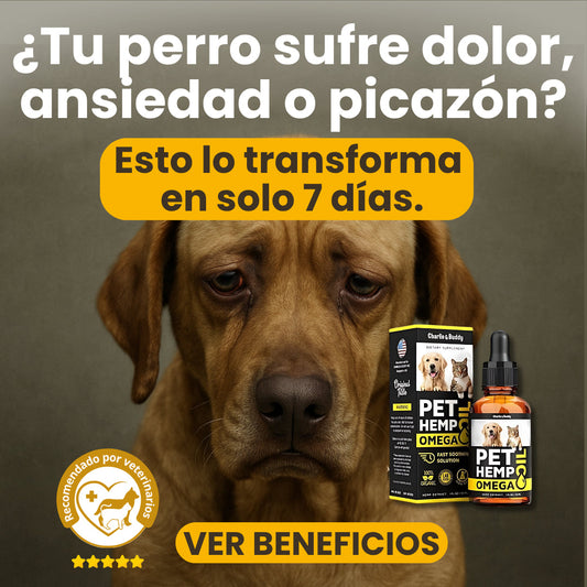 PET HEMP OMEGA™ PREVIENE PROBLEMAS Y MEJORA SU VIDA EN SOLO 7 DÍAS